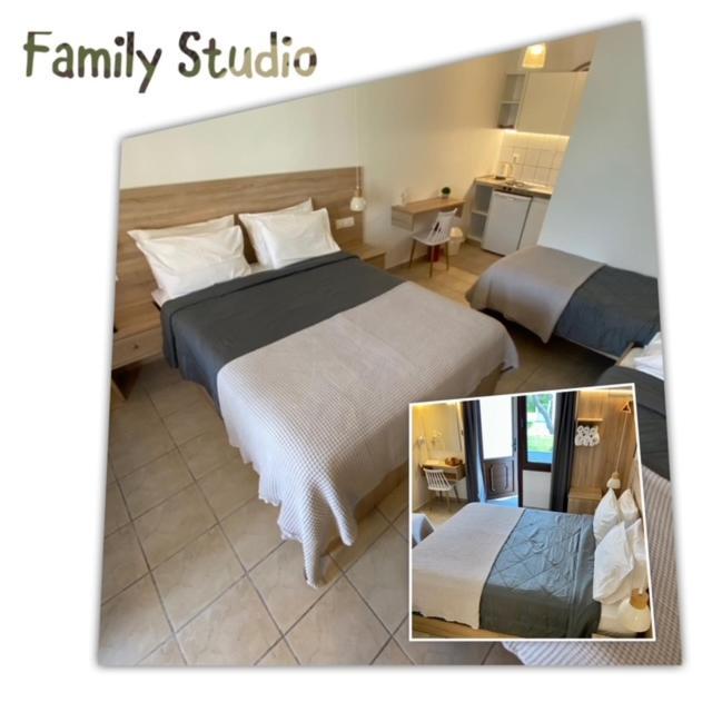 Villa Dafni Studios Limenas  Exterior photo